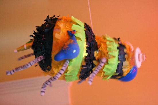 striped bee
