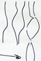 Lecture notes